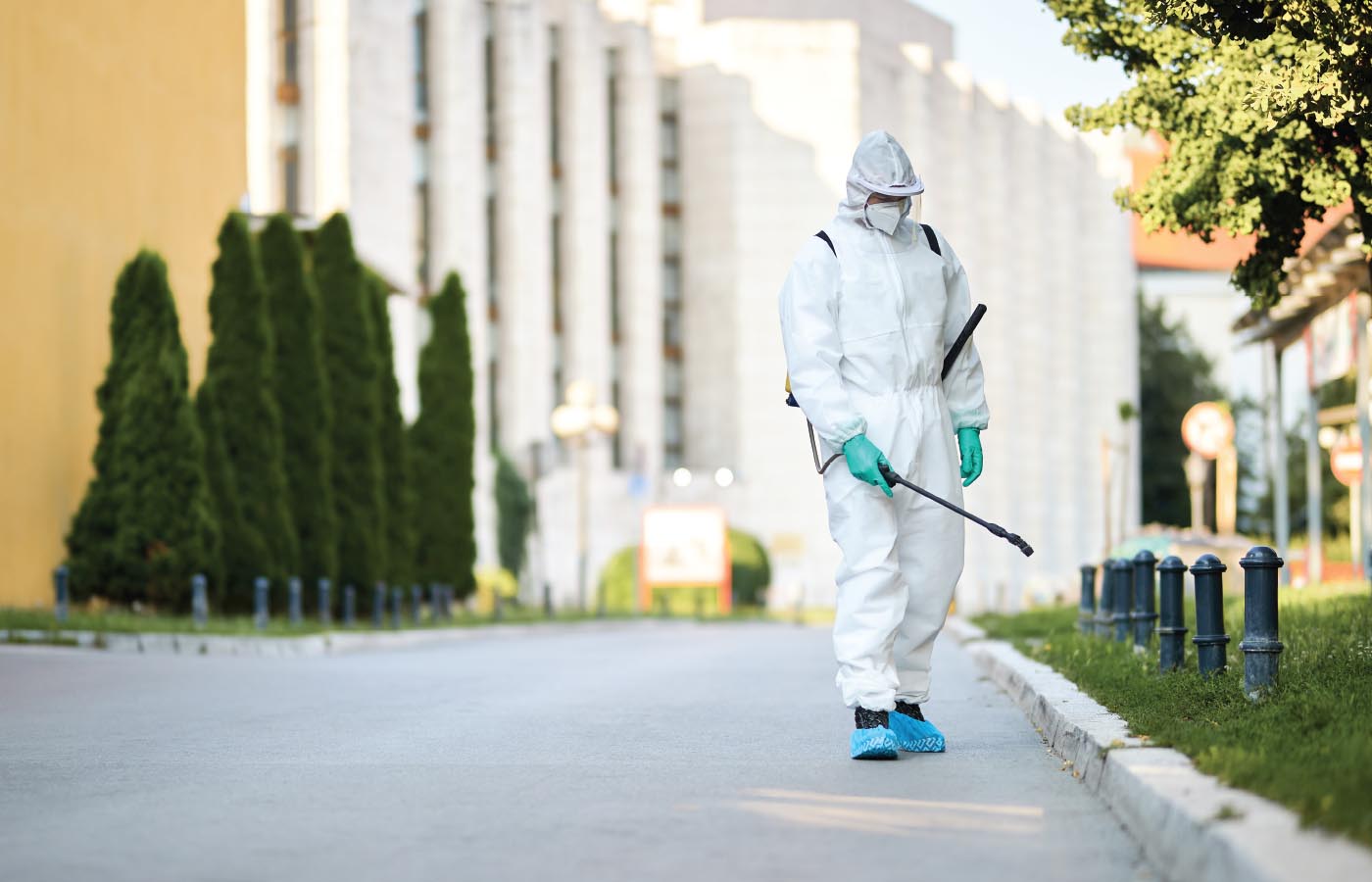 Cleaning, Landscaping & Pest Control